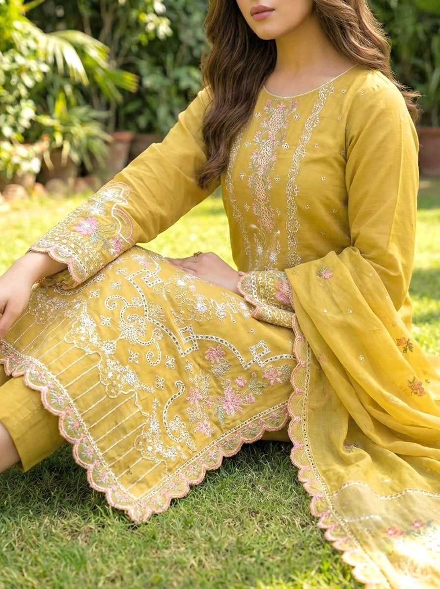 Ghani Lawn Creation