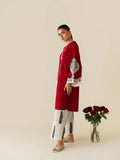 Aghanoor Embroidered Suit