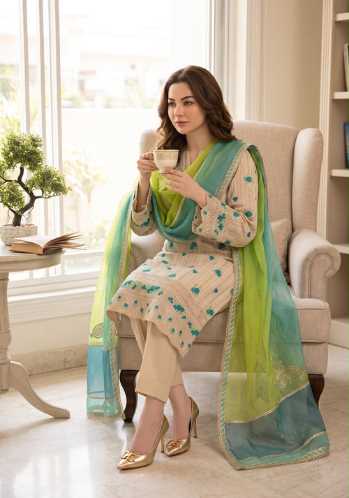 Embroidered Luxury Cotton Net Dress