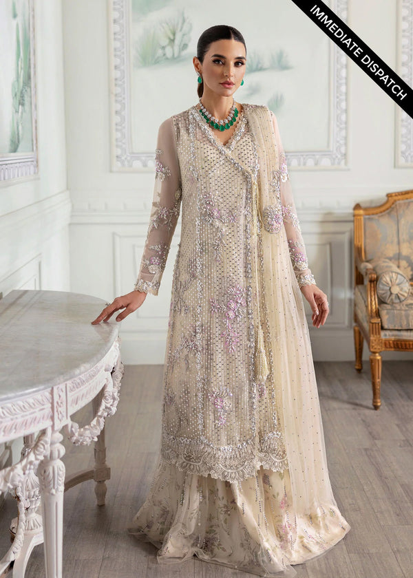 Crimson Luxury Wedding Wear