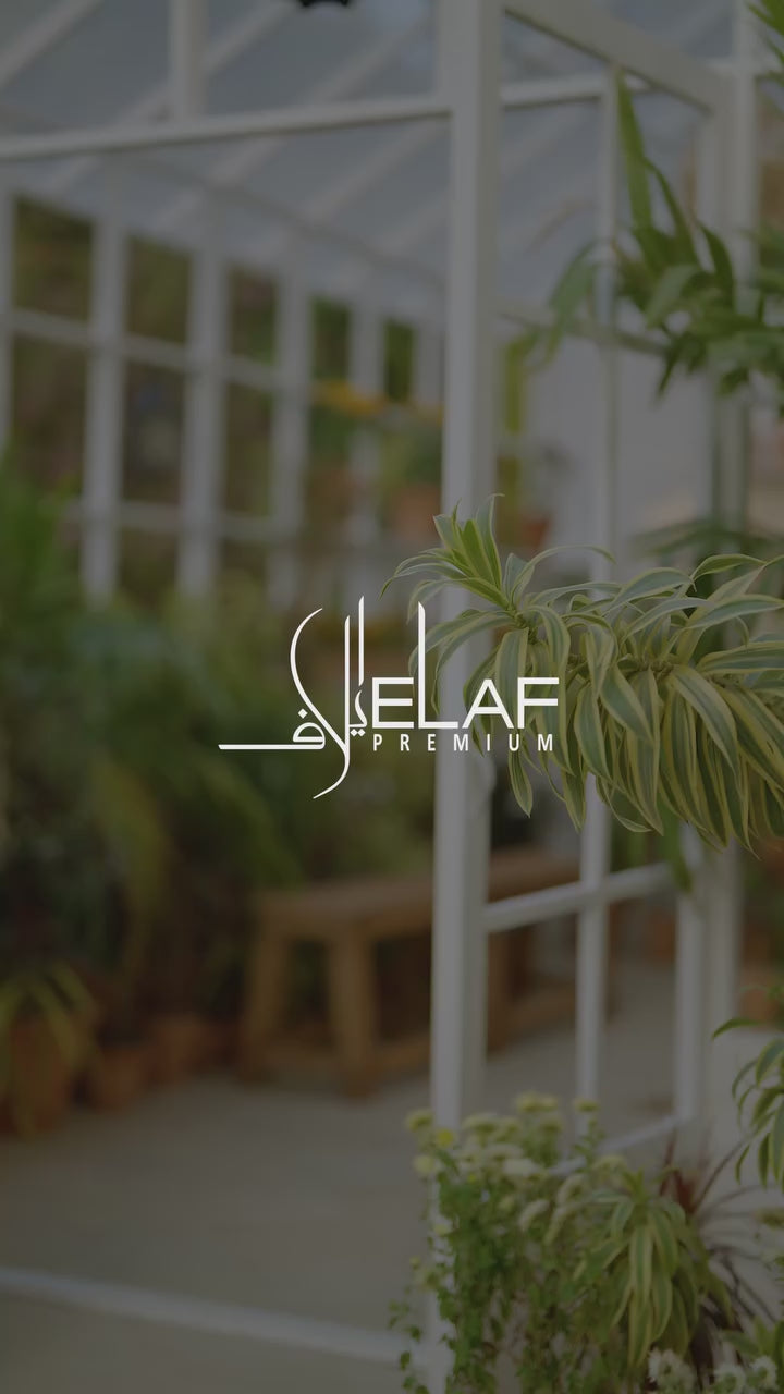 Elaf Premium Embroidered Luxury Lawn 25’